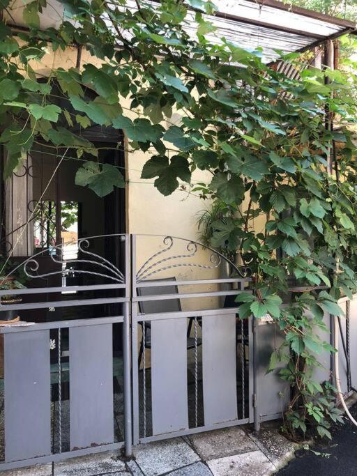 Nataly Apartament-Old Tbilisi Center Dış mekan fotoğraf